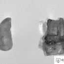 난곡동-56 이미지
