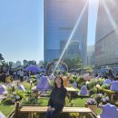 포켓몬스터 팝업스토어 이미지