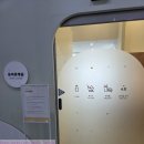 경기도박물관 | 21개월 아기와 다녀온 경기도 어린이박물관 후기｜용인 실내 가볼만한 곳 추천