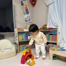 정토이즈 그림스 네이처세트 후기ㅣ27개월 아기 교구 추천ㅣ발도르프 교구 활용법
