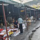 마산어시장 이미지