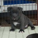 에이 플러스 이미지