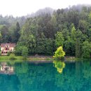 퐁당퐁당 이미지