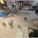 행복한 강아지 이미지