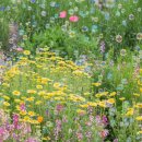 공원플라워 이미지