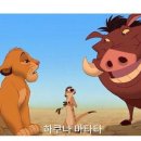 하쿠나 마타타 이미지