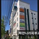 하얀나라피부과의원 이미지
