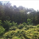 송해면사무소 이미지