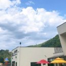 오블리&화이트펫 이미지