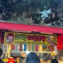 지오다노청주