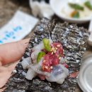미항초등학교 | 목포 낙지 맛집 독천골 다녀온 후기