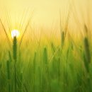 인생재활한의원 이미지