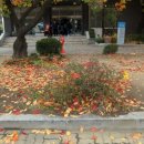 대구교대과학관 이미지