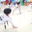 명품 백두 태권도 이미지