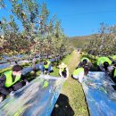 음봉농협 산지유통센터 이미지