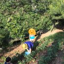 녹수와 청산의 집 이미지