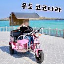 제주다차공간 | 제주 우도 전기차 대여 코코나라 후기 면허증 필수 우도여행 한 바퀴