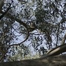 (주)로티엑스 | [호주]멜버른 2일차:)