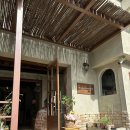 보들 반려견 미용실 | 일상의 기록 | 부산 남포동 카페 마담마담 ☕애견동반 감성카페 후기_#4