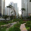 도곡렉슬유치원 이미지