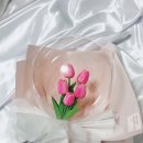 브니엘플라워 이미지