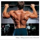 오늘의 운동 이미지