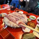 보물섬 맛집 | 서울 대방어 맛집| 논현 보물섬 대방어회 예약 후기