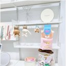 비비퍼피 강아지분양 일산점 이미지