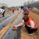 서창2동-3 이미지