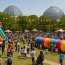 2025 어린이날 특별공연 이미지