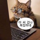 오소베이커리 이미지