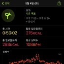 오전요가 이미지