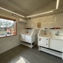 애견세상 이미지