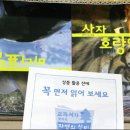 (주)자연의 신비 이미지