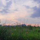 (야간)부동산경매 이미지