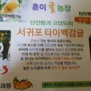 주훈농장 이미지