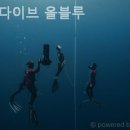 프리다이브올블루