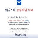 웨일짐 이미지