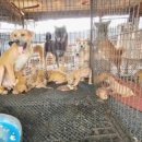 일한농장 이미지