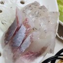 한려수도 다찌 이미지