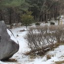 지리산명성농원 이미지