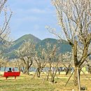 용당수변공원 화장실 이미지