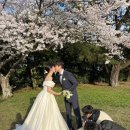 벨롱스테이 | [공지] 제주스냅은 벨롱벨롱제주/오드리테일러