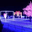 올겨울소문난'빛축제'볼수있는연말여행지=5.부산해운대빛축제=12월2일~1월31일까지 이미지