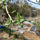 태리농장 이미지