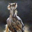 카우보이 이미지