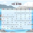 갯벌 | 남해갯벌체험후기 금천갯벌체험관26.04.18[쏙잡는법]