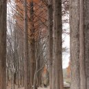 경주산림환경연구원 이미지