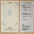 마운트선데이 | [양산] 물금읍 브런치 "마운트선데이" (고사리샐러드, 프랜치토스트) 내돈내산 솔직후기