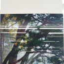 디자인선 이미지